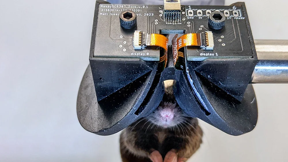 Neuroscientists Create VR Glasses for Mice